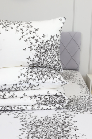 9556bacb-4f15-45e3-b419-e02e04f6b721